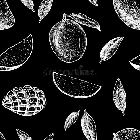 Seamless Pattern With Mango Vector Line Drawing Stock Vector