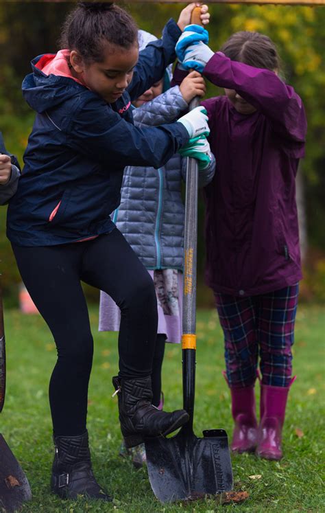 Community Challenge Grants & Neighborhood Forest Grants | Anchorage