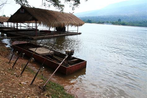hunt river stock image image  coast river swim root