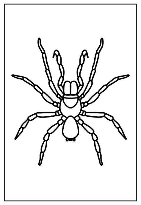 Desenhos De Aranha Para Imprimir - 10
