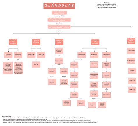 Mapa Conceptual Glándulas Esquemas Y Mapas Conceptuales De