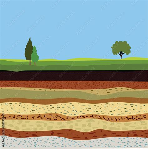 soil formation and soil horizons Stock Vector | Adobe Stock