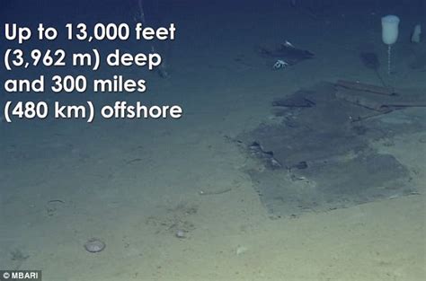 Our Deep Sea Garbage Dump 18 000 Hours Of Footage Shows Pacific