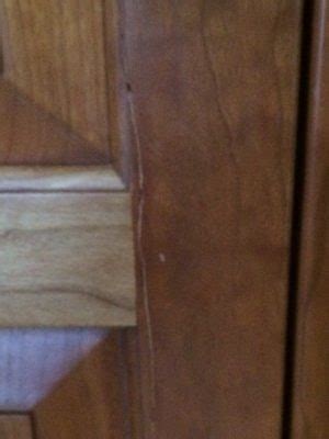 How To Fix A Cracked Cabinet Door In 5 Easy Steps Staying Close To Home