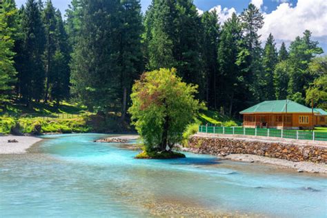 Best Time To Visit Pahalgam When To Go To Pahalgam