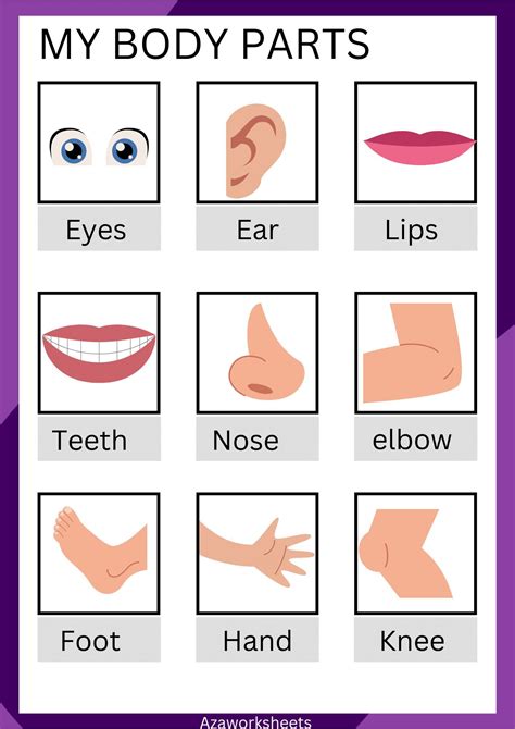 body parts printable 4
