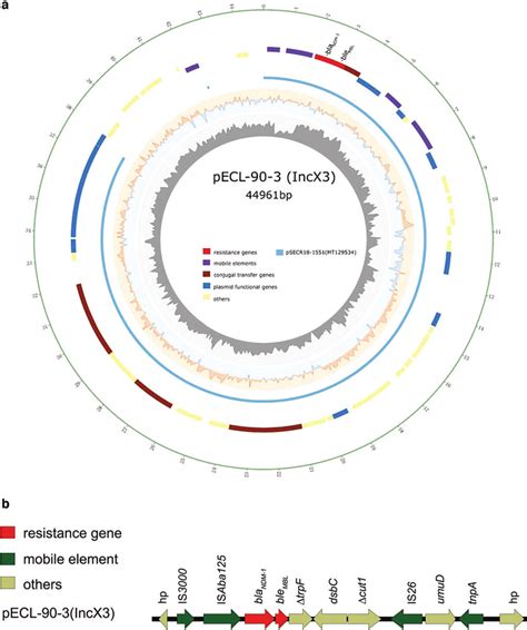 Analysis Of Bla NDM 1 Harboring IncX3 Type Plasmid PECL 90 3 And The