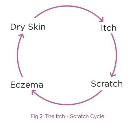 Scratch Cycle Aproderm