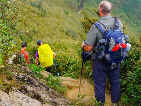 1 Day Hike Fansipan Mountain From Sapa With Local Expert Lim