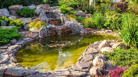 20 Koi Pond Ideas For Your Backyard Oasis Angi