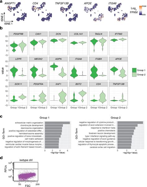 Expression Of Pericyte Heterogeneity Genes A Tsne Plot From Fig 2a