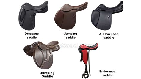 Most Popular Types of English Saddles | Horsessaddle.com