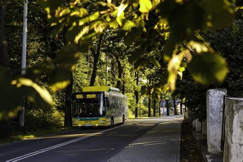 Na cmentarz najlepiej komunikacją miejską i to za darmo Śląskie