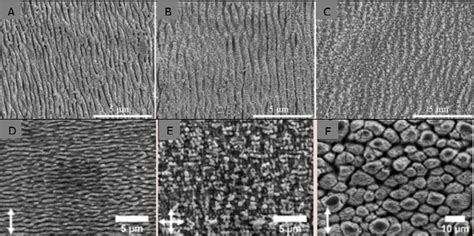 Sem Micrographs Of Laser Induced Periodic Ripples Surface Structures