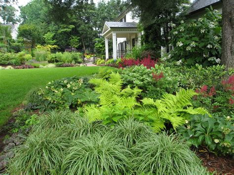 A Garden With Lots Of Green Plants And Flowers In The Foreground Next