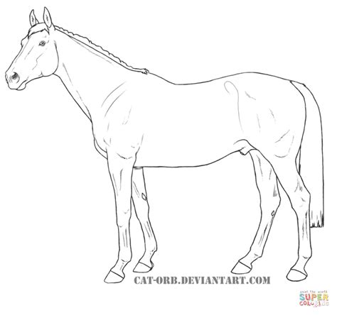 Mare And Foal Coloring Pages at GetColorings.com | Free printable colorings pages to print and color