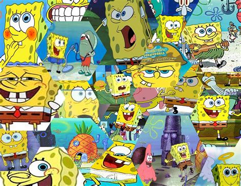 Sponge Bob Spongebob Squarepants Collage Hd Phone Wallpaper Pxfuel