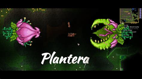 How I Beat Plantera In Master Mode And How You Can Too Terraria Master Mode Ep 17 Youtube