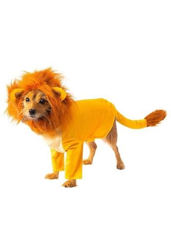 Disney Lion King Costumes For Adults And Kids