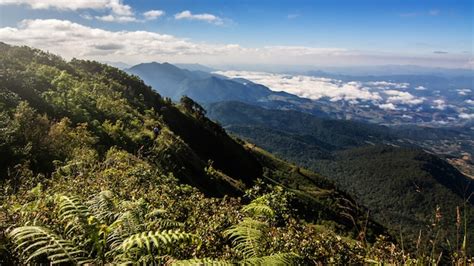 Premium Photo Doi Inthanon National Park The Top Highest Mountain Of