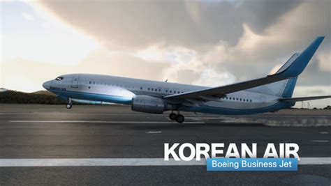 Zibo 737 800X KOREAN AIR BBJ Fictional Aircraft Skins Liveries