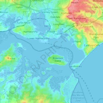 Poole Harbour topographic map, elevation, relief