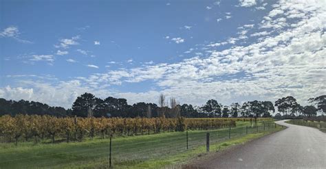 The Best Wineries For Tasting And Lunch In Margaret River Git Wine