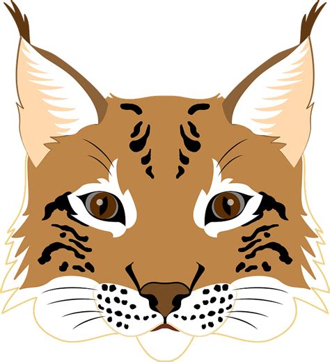 Lynx Vector Graphic Artwork Png