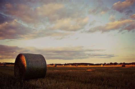 Wallpaper Sunlight Landscape Sunset Nature Sky Field Clouds