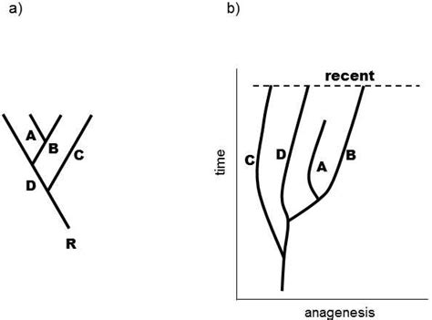 XXIII.7 A large number of different trees can often be produced using ...