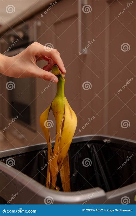 Woman Putting Banana Peel In A Trash Bin Kitchen And Home Stock Photo