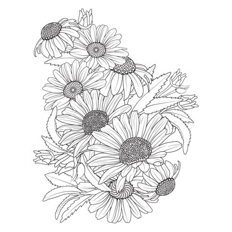 Daisy flower drawing realistic. botanical daisy flower line art ...