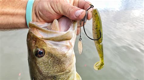 VMC HD Weighted Willow Swimbait Hook Review Wired2Fish