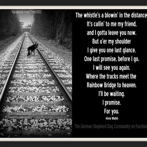 Touching Pet Loss Poems : Pin By Patricia M Risdal On Sabrina Marie Dog Poems Dog Quotes Pet ...