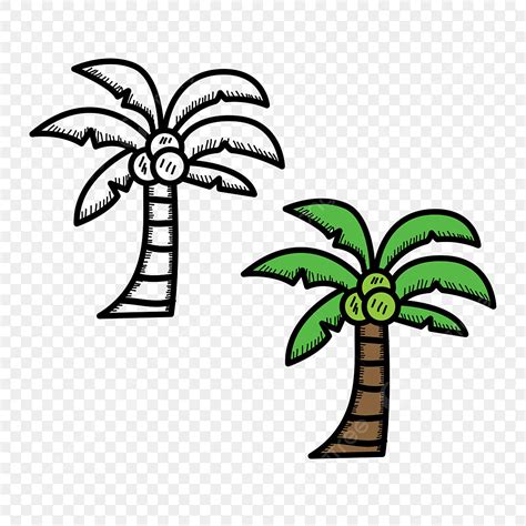 Lindo Dibujado A Mano Ilustración De Vector De árbol De Coco Con Dibujo