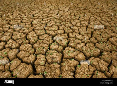 Shrivel Skin High Resolution Stock Photography and Images - Alamy