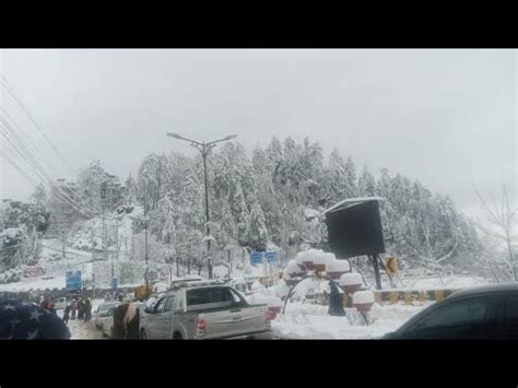 Today Murree Live Snowfall Jan Murree Weather Updates Mureee