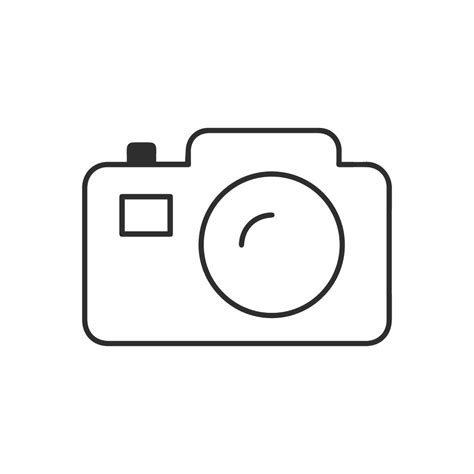 Low Head Penguin Tours