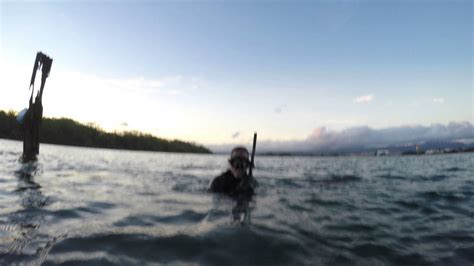 Oahu Hawaii Spearfishing Ledge Jun 2016 Youtube