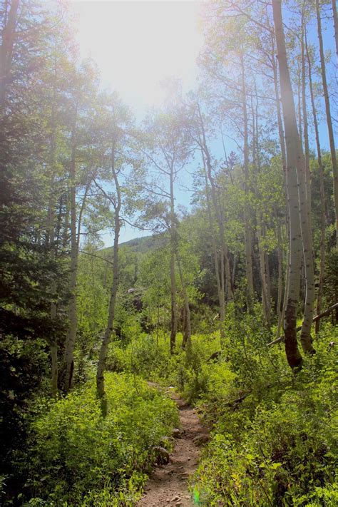 Summer hiking in Colorado> 🌳 : r/Colorado