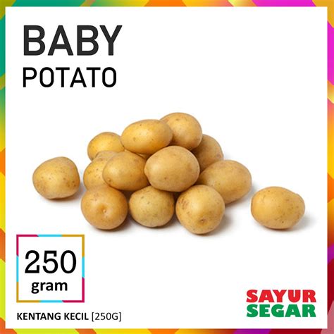 Jual Baby Potato Kentang Rendang Kentang Kecil 250G Shopee