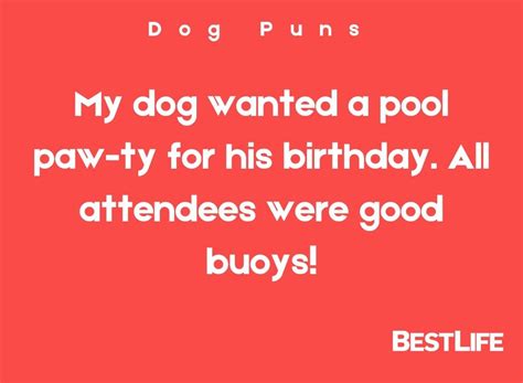 110 Dog Puns To Make You Howl With Laughter — Best Life