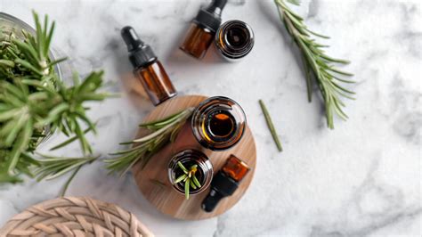 The Science Behind Rosemary Oil For Hair Does Rosemary Oil Really Help