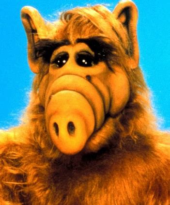 Gordon Shumway (a.k.a. ALF) | Alf, Cartoon shows, Cute cats