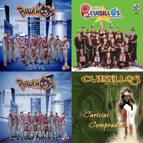 Cuisillos Y Pequeños Musical on Spotify