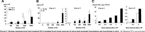 Figure 1 From Human Dendritic Cell Subsets In Nodscid Mice Engrafted