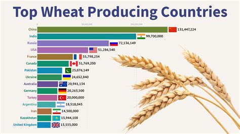 Top Wheat Producing Countries Youtube