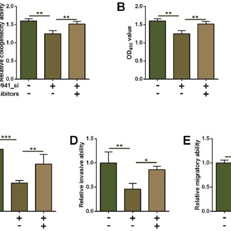 Inhibition Of Mir P Attenuated The Suppressive Effects Of