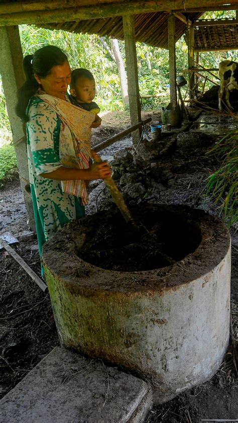 Foto Ide Kreatif Warga Trenggalek Memanfaatkan Kotoran Sapi Untuk