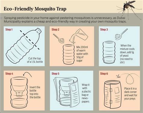 Homemade Mosquito Liter Bottle